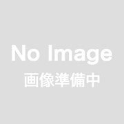PARAGON/パラゴン  ポルシェ 911 カレラ RSR 3.0 Grand Prix ホワイト LHD